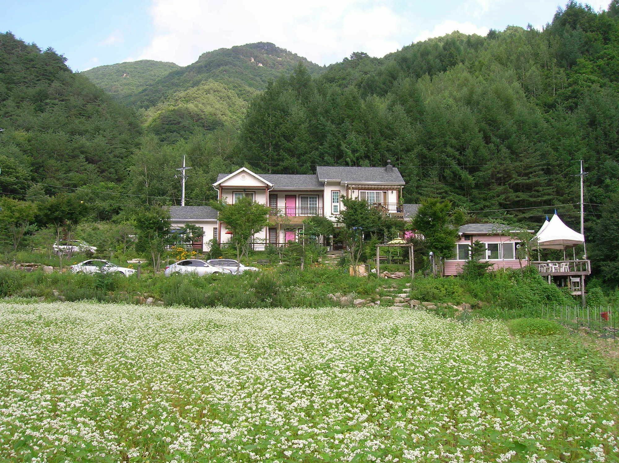 Geum Dang Lodge Yangpyeong Exterior photo